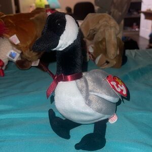 Loosy the beanie baby